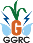 image 260 image 260